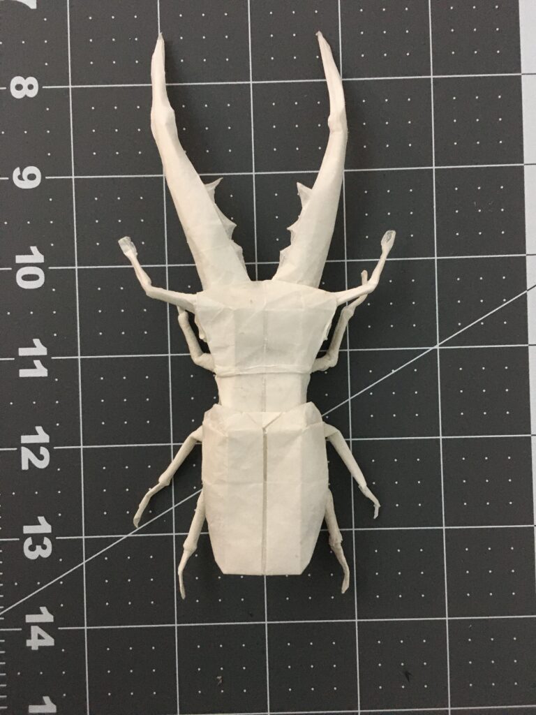 Stag Beetle, Satoshi Kamiya